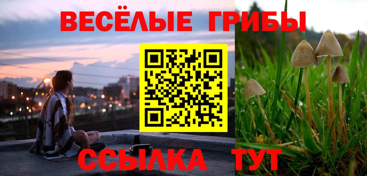 Псилоцибиновые грибы MAGIC MUSHROOMS  Псилоцибиновые грибы ЛСД  Урус-Мартан  Вход с VPN 